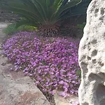 Ginepro Διαμέρισμα