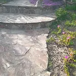Ginepro Όλμπια